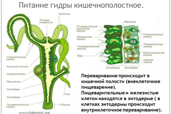 Ссылки мега кракен